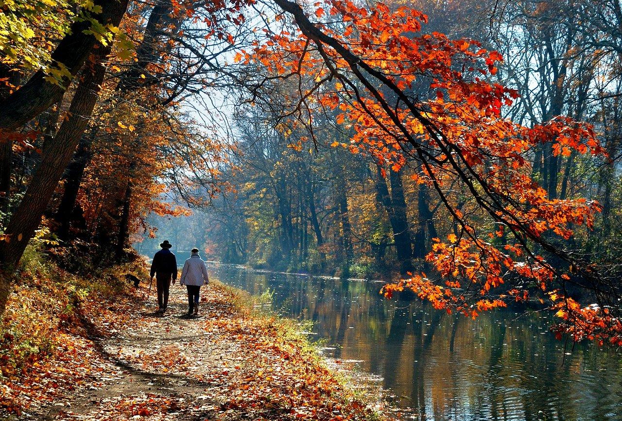 Bucks County landscape